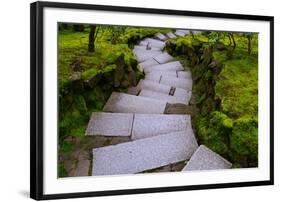 Steps I-Brian Moore-Framed Premium Photographic Print