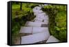 Steps I-Brian Moore-Framed Stretched Canvas