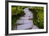 Steps I-Brian Moore-Framed Photographic Print