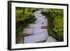 Steps I-Brian Moore-Framed Photographic Print