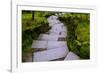 Steps I-Brian Moore-Framed Photographic Print