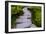 Steps I-Brian Moore-Framed Photographic Print