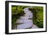 Steps I-Brian Moore-Framed Photographic Print