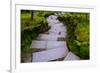 Steps I-Brian Moore-Framed Photographic Print
