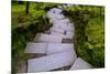 Steps I-Brian Moore-Mounted Photographic Print