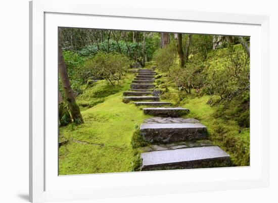 Steps II-Brian Moore-Framed Photographic Print