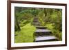 Steps II-Brian Moore-Framed Photographic Print