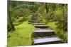 Steps II-Brian Moore-Mounted Photographic Print