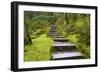 Steps II-Brian Moore-Framed Photographic Print