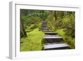 Steps II-Brian Moore-Framed Photographic Print