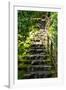 Steps III-Brian Moore-Framed Premium Photographic Print