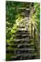 Steps III-Brian Moore-Mounted Premium Photographic Print