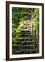 Steps III-Brian Moore-Framed Photographic Print