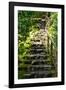 Steps III-Brian Moore-Framed Photographic Print