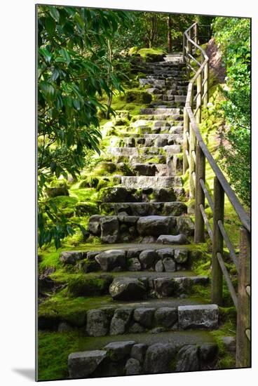 Steps III-Brian Moore-Mounted Photographic Print