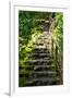 Steps III-Brian Moore-Framed Photographic Print