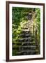 Steps III-Brian Moore-Framed Photographic Print