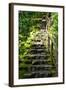 Steps III-Brian Moore-Framed Photographic Print