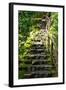 Steps III-Brian Moore-Framed Photographic Print