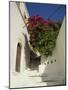 Steps in a Narrow Backstreet, Lindos Town, Rhodes, Dodecanese Islands, Greek Islands, Greece-Fraser Hall-Mounted Photographic Print