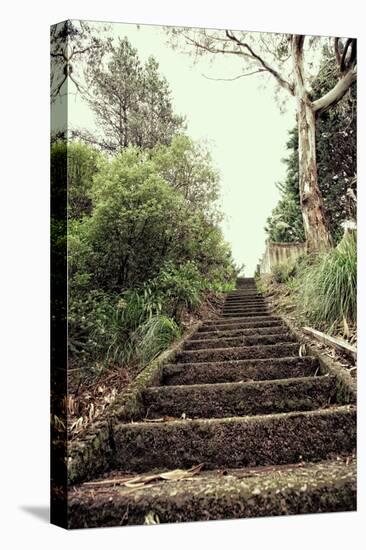 Steps in Garden-Steven Allsopp-Stretched Canvas