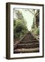 Steps in Garden-Steven Allsopp-Framed Photographic Print