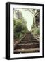 Steps in Garden-Steven Allsopp-Framed Photographic Print