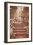 Steps in Garden-Steve Allsopp-Framed Photographic Print