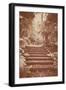 Steps in Garden-Steve Allsopp-Framed Photographic Print