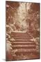 Steps in Garden-Steve Allsopp-Mounted Photographic Print