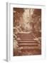 Steps in Garden-Steve Allsopp-Framed Photographic Print