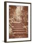 Steps in Garden-Steve Allsopp-Framed Photographic Print