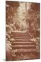 Steps in Garden-Steve Allsopp-Mounted Photographic Print