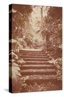 Steps in Garden-Steve Allsopp-Stretched Canvas