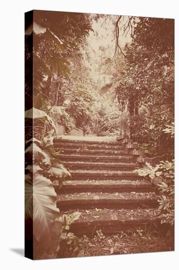 Steps in Garden-Steve Allsopp-Stretched Canvas