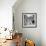 Steps in Taormina-Mario de Biasi-Framed Premium Giclee Print displayed on a wall