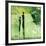 Steps into the Green I-Lucy Cloud-Framed Art Print