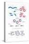 Steps Involved in the Engineering of a Recombinant Dna Molecule. Genetic Engineering, Genetics-Encyclopaedia Britannica-Stretched Canvas