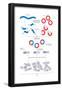 Steps Involved in the Engineering of a Recombinant Dna Molecule. Genetic Engineering, Genetics-Encyclopaedia Britannica-Framed Poster