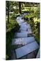 Steps IV-Brian Moore-Mounted Premium Photographic Print