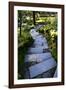 Steps IV-Brian Moore-Framed Photographic Print