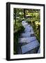 Steps IV-Brian Moore-Framed Photographic Print