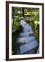 Steps IV-Brian Moore-Framed Photographic Print