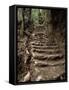 Steps on the Inca Trail, Peru, South America-Rob Cousins-Framed Stretched Canvas