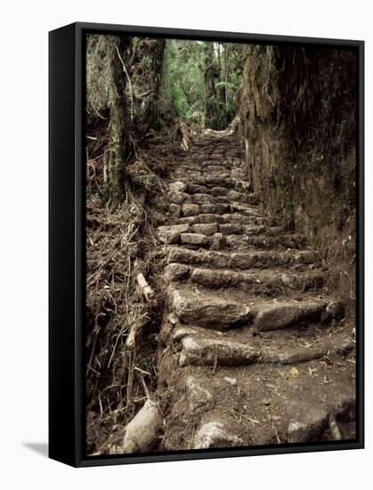 Steps on the Inca Trail, Peru, South America-Rob Cousins-Framed Stretched Canvas