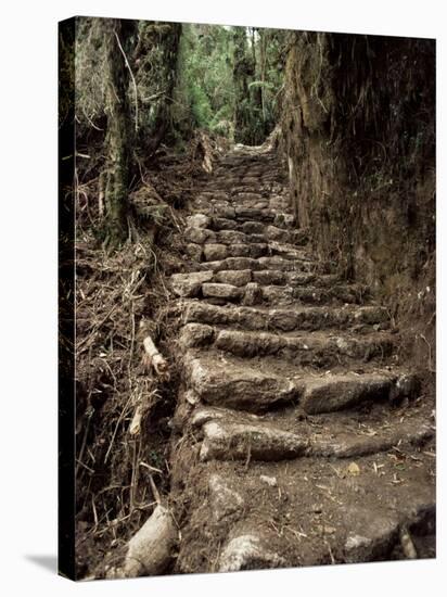 Steps on the Inca Trail, Peru, South America-Rob Cousins-Stretched Canvas