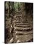 Steps on the Inca Trail, Peru, South America-Rob Cousins-Stretched Canvas