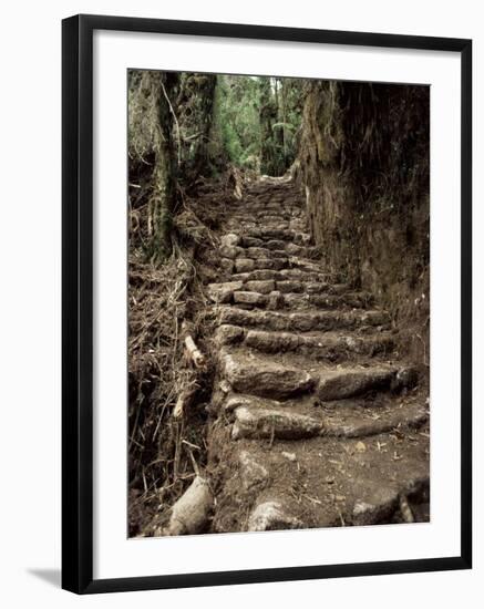 Steps on the Inca Trail, Peru, South America-Rob Cousins-Framed Premium Photographic Print