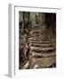 Steps on the Inca Trail, Peru, South America-Rob Cousins-Framed Photographic Print