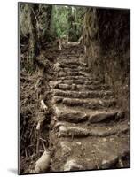 Steps on the Inca Trail, Peru, South America-Rob Cousins-Mounted Photographic Print